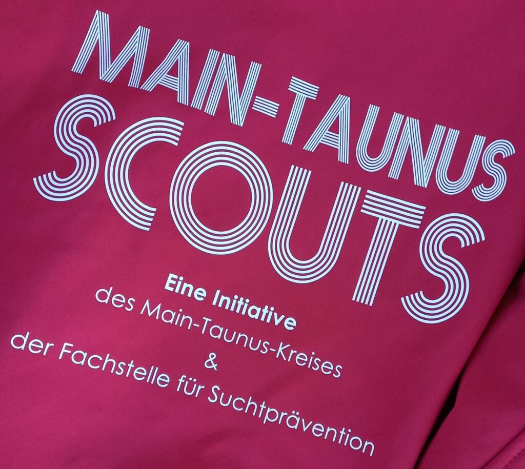 Scouts beim Fastnachtsumzug